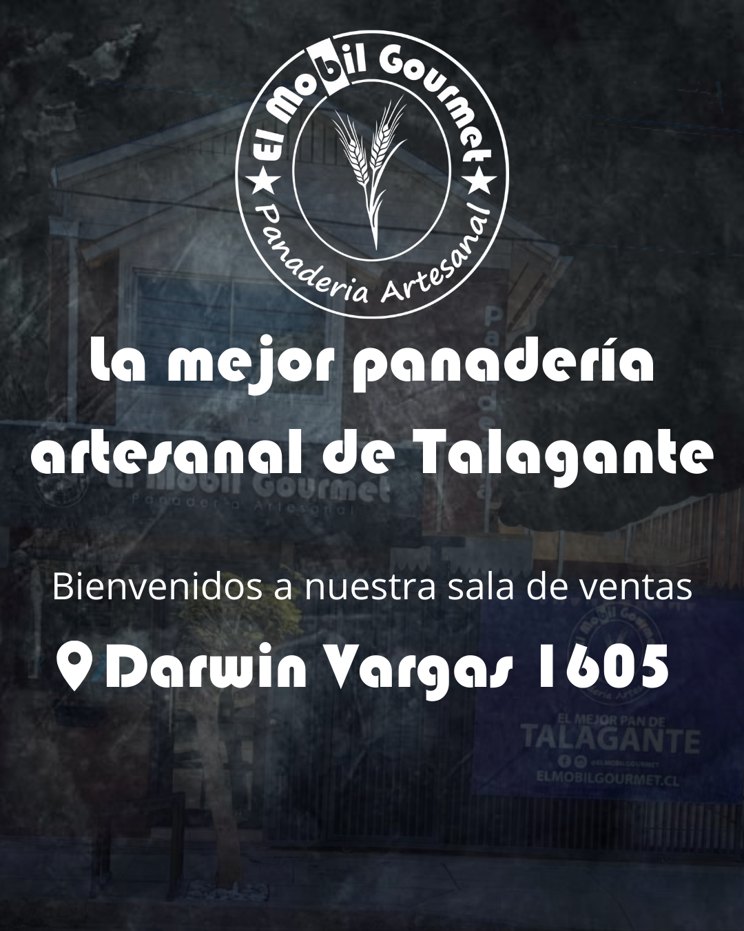 La mejor panaderia artesanal de Talagante (1080 x 1350 px)